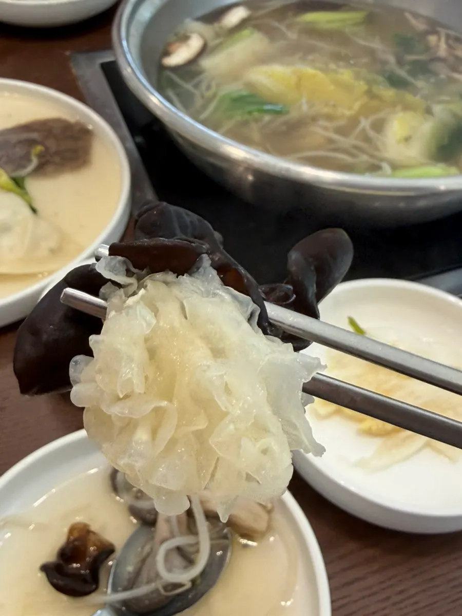 끓고 있는 만두전골 속 채소와 버섯