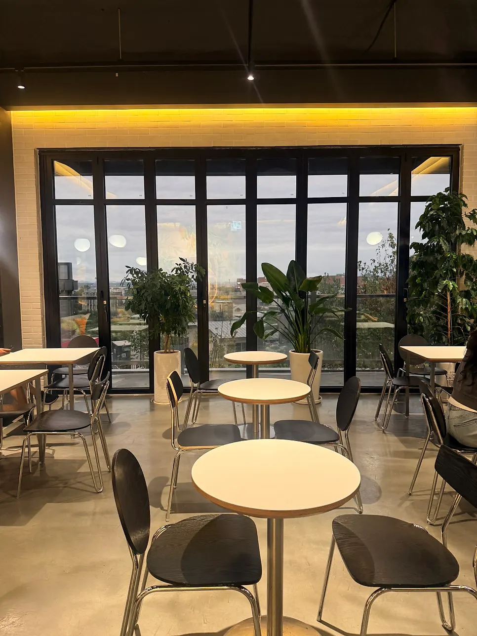 Interior of Fruit Forest with green plants placed around