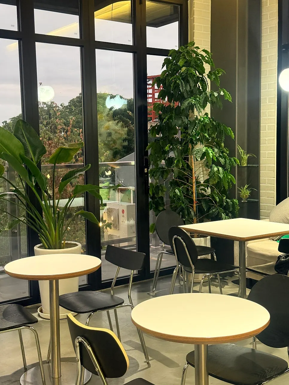 Fruit Forest store interior in the evening with soft lighting