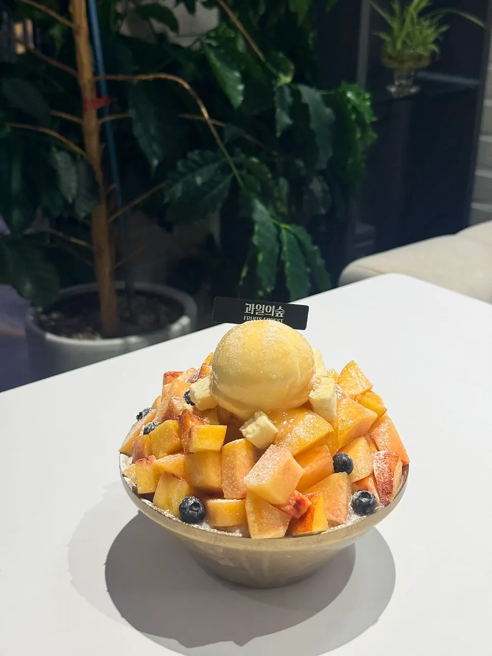 Peach snow flower bingsu piled high with peach