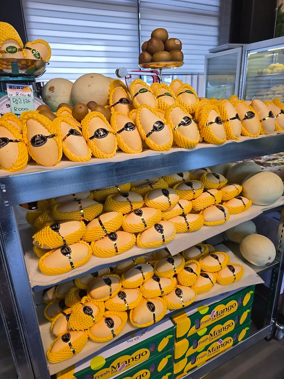 Fresh fruit display with melon and kiwi