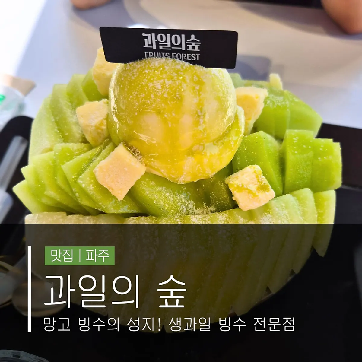 Melon snow bingsu, the signature dish at Fruit Forest Paju Direct Store