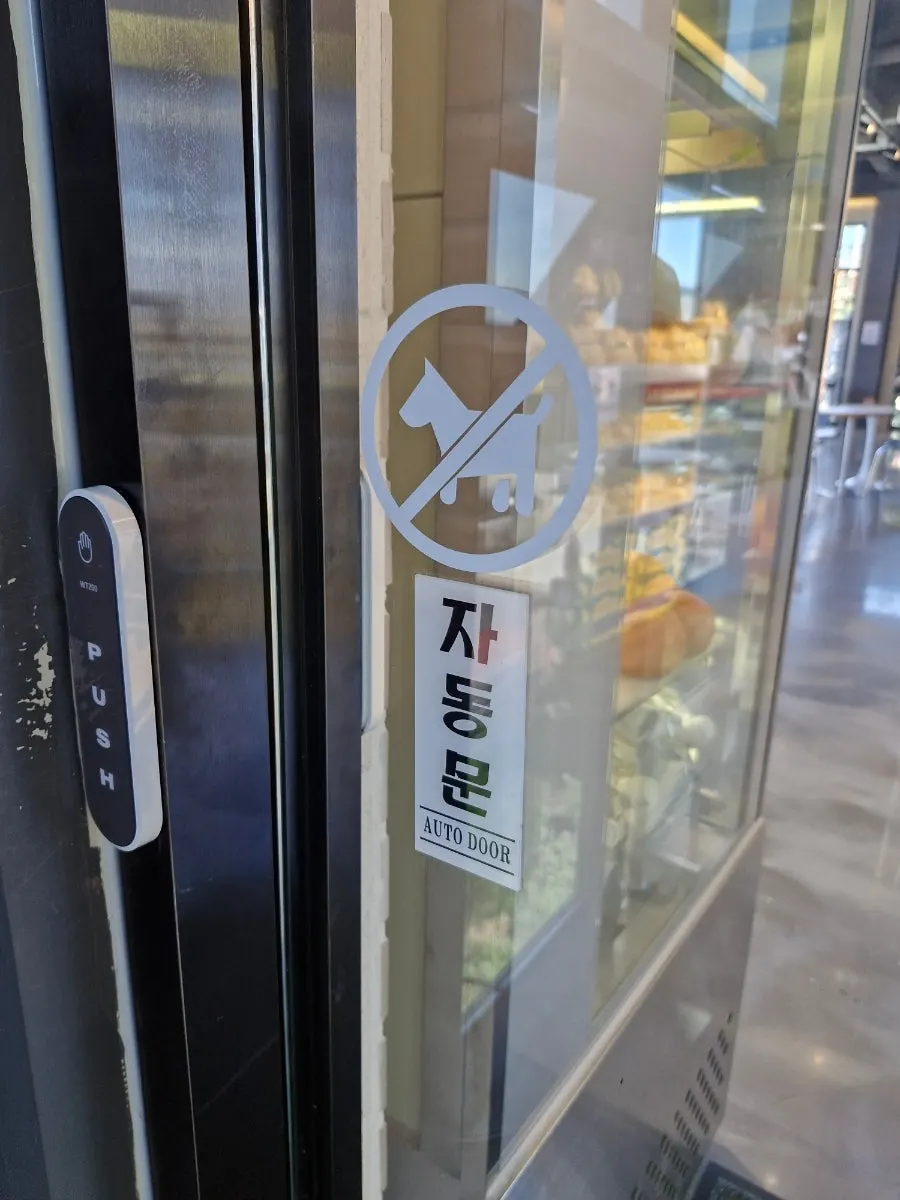 화분이 놓인 카페 올라가는 계단
