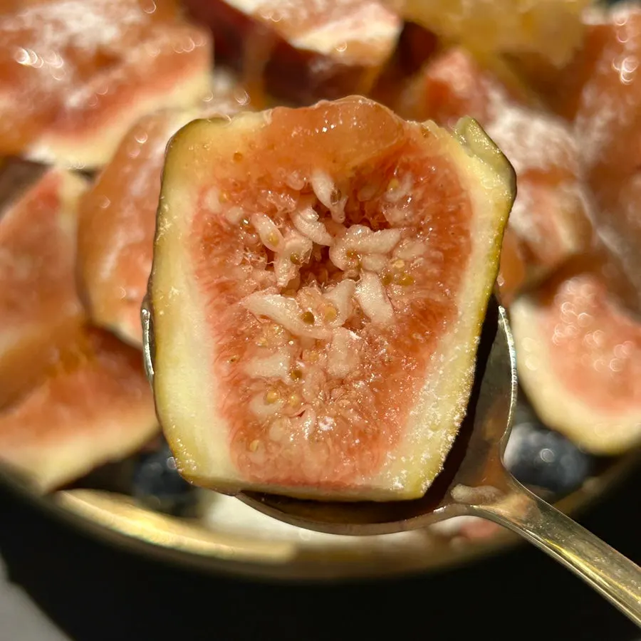 무화과빙수 한 조각을 떠올린 모습