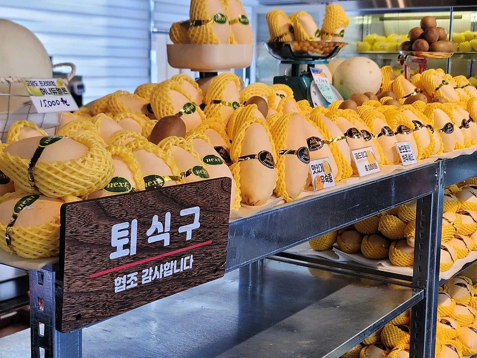 과일의숲 망고 진열 코너
