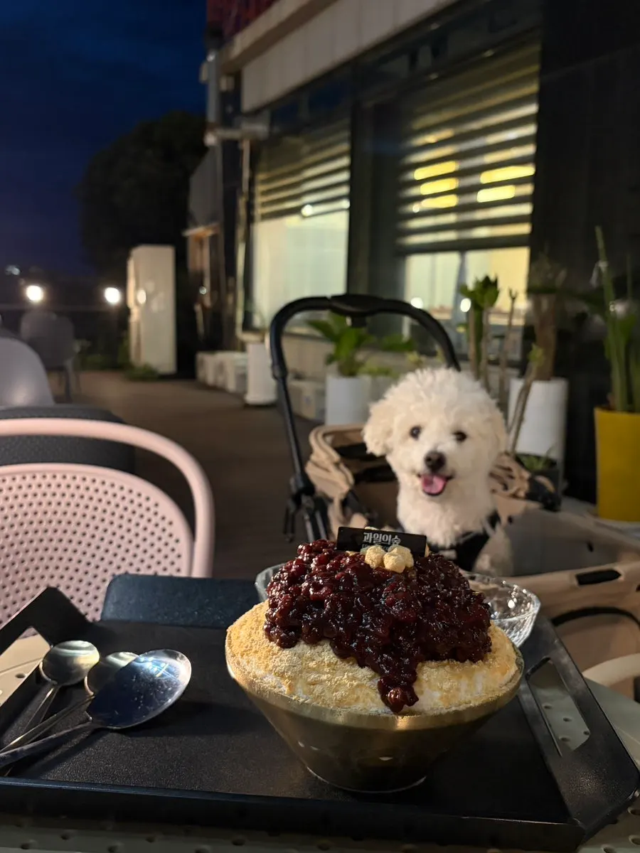 Terrace seating and lighting at Fruit Forest
