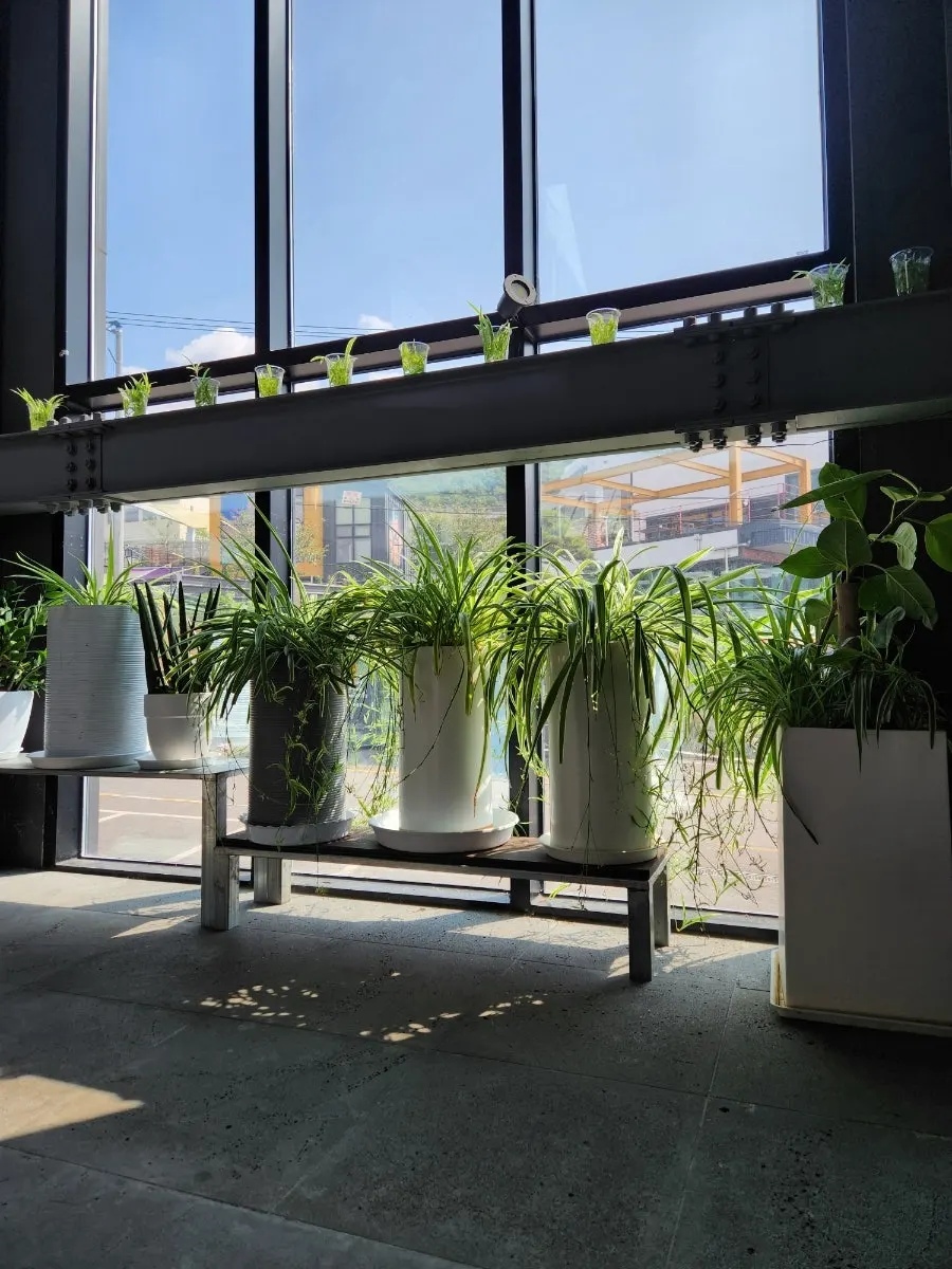 Interior view of Fruit Forest Paju Direct Store