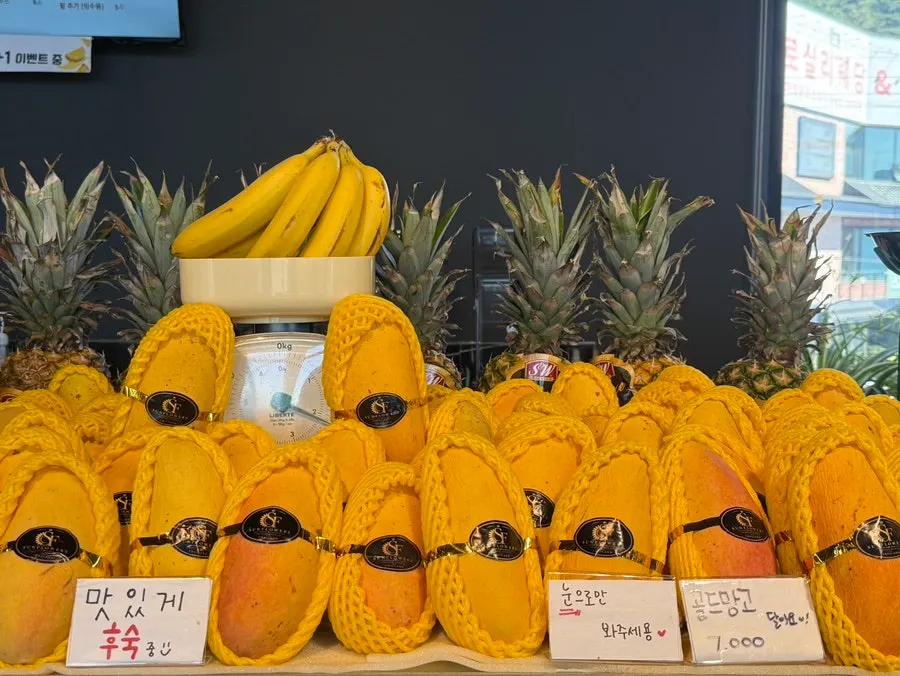 과일의숲 매장에 채워진 제철 과일 진열대