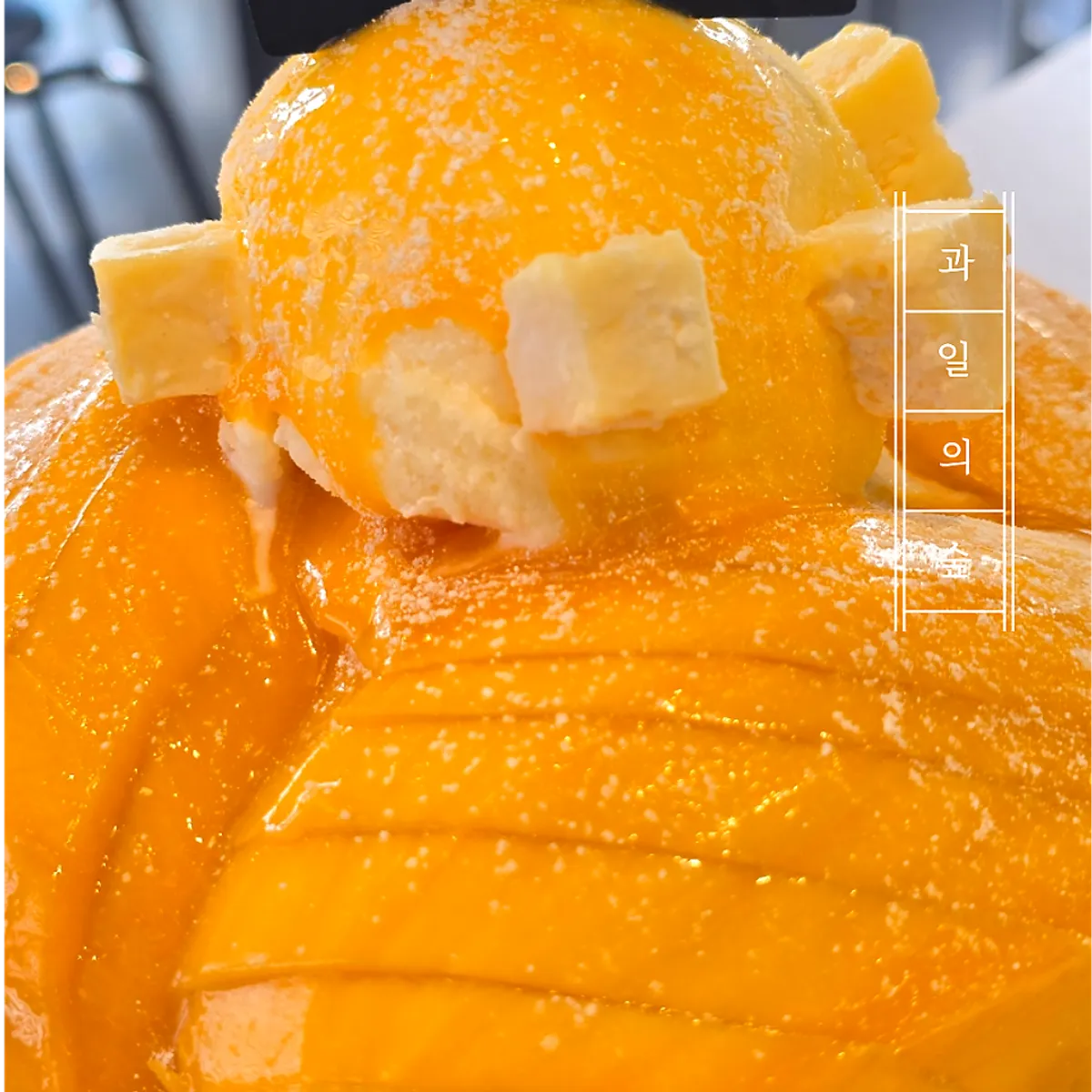 과일의숲 파주직영점 망고빙수 대표 사진