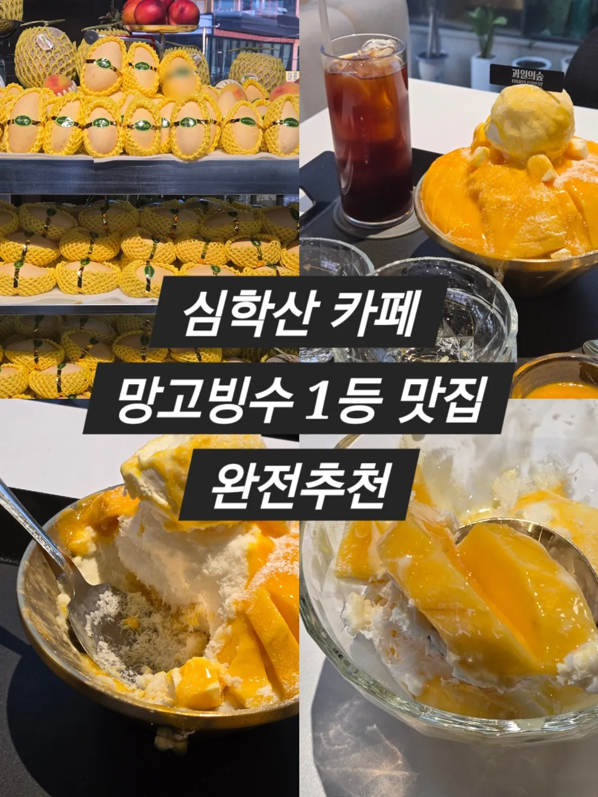 과일의숲 파주직영점 망고빙수 대표 사진