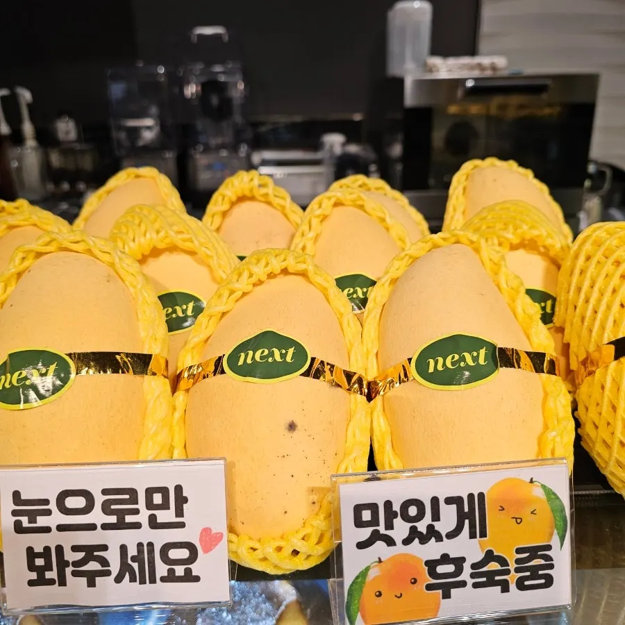 밤 테라스에서 즐기는 과일 디저트와 주스