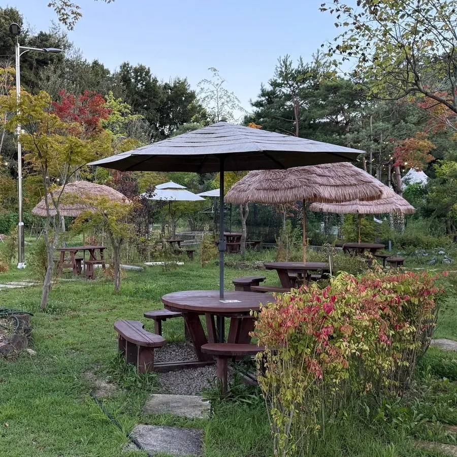 On the Rail café near Imjingak