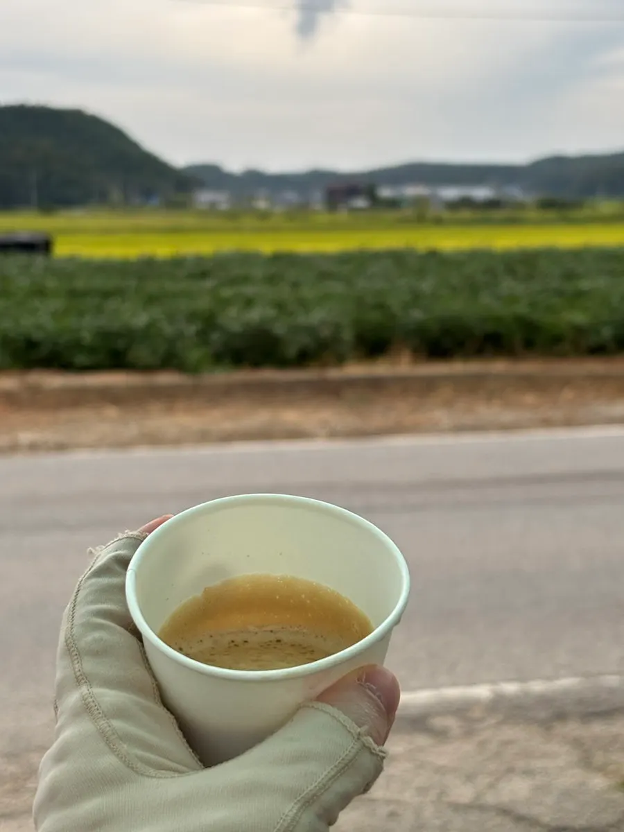 After-meal milk coffee and rice-paddy view at Cheonje Guksu