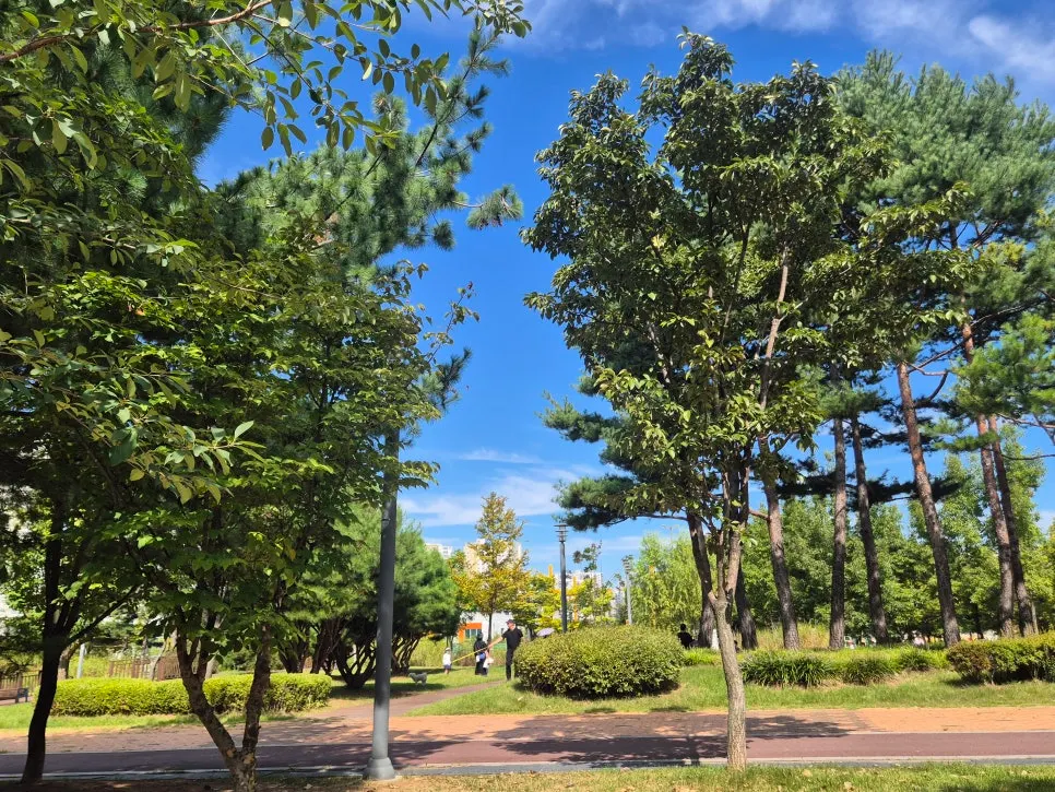 View of Unjeong Health Park in front of the café