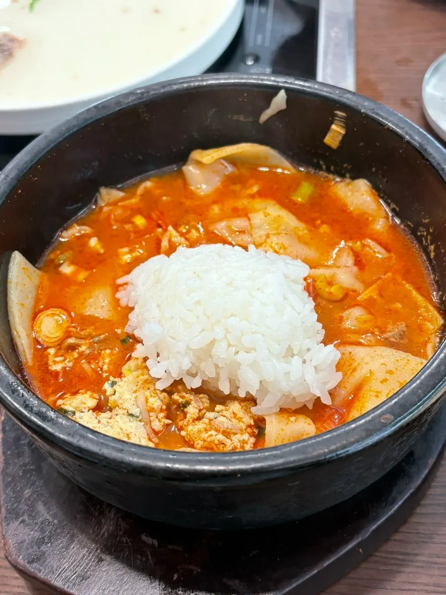 크고 넓적한 기본만두 속