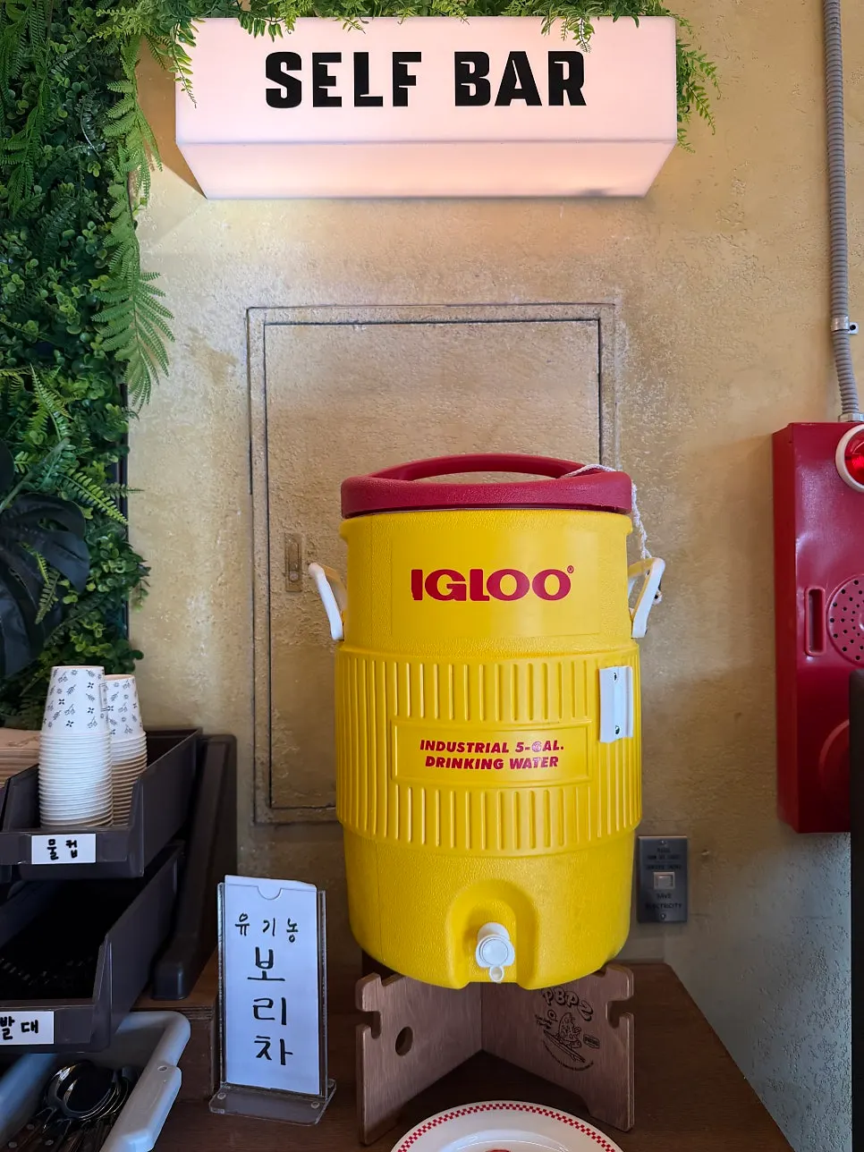 Pibing restaurant menu information