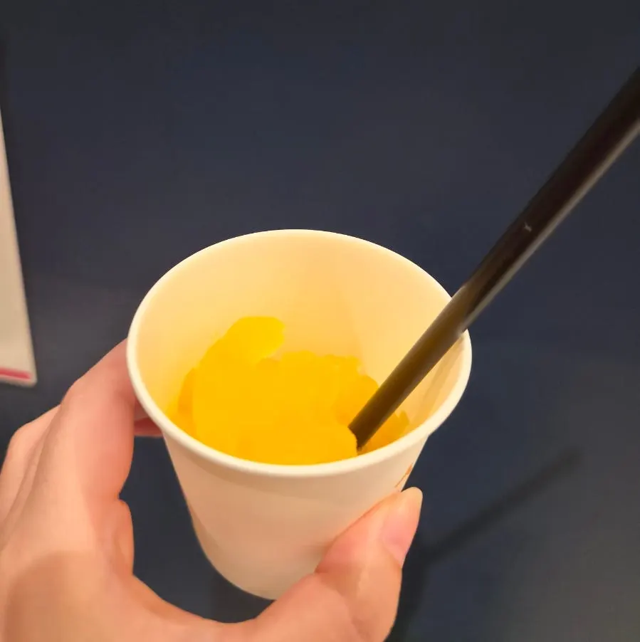 셀프로 담아 먹은 슬러쉬