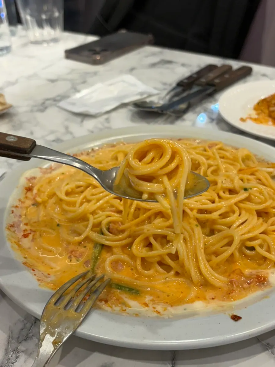 Cream pasta noodles twirled on a fork