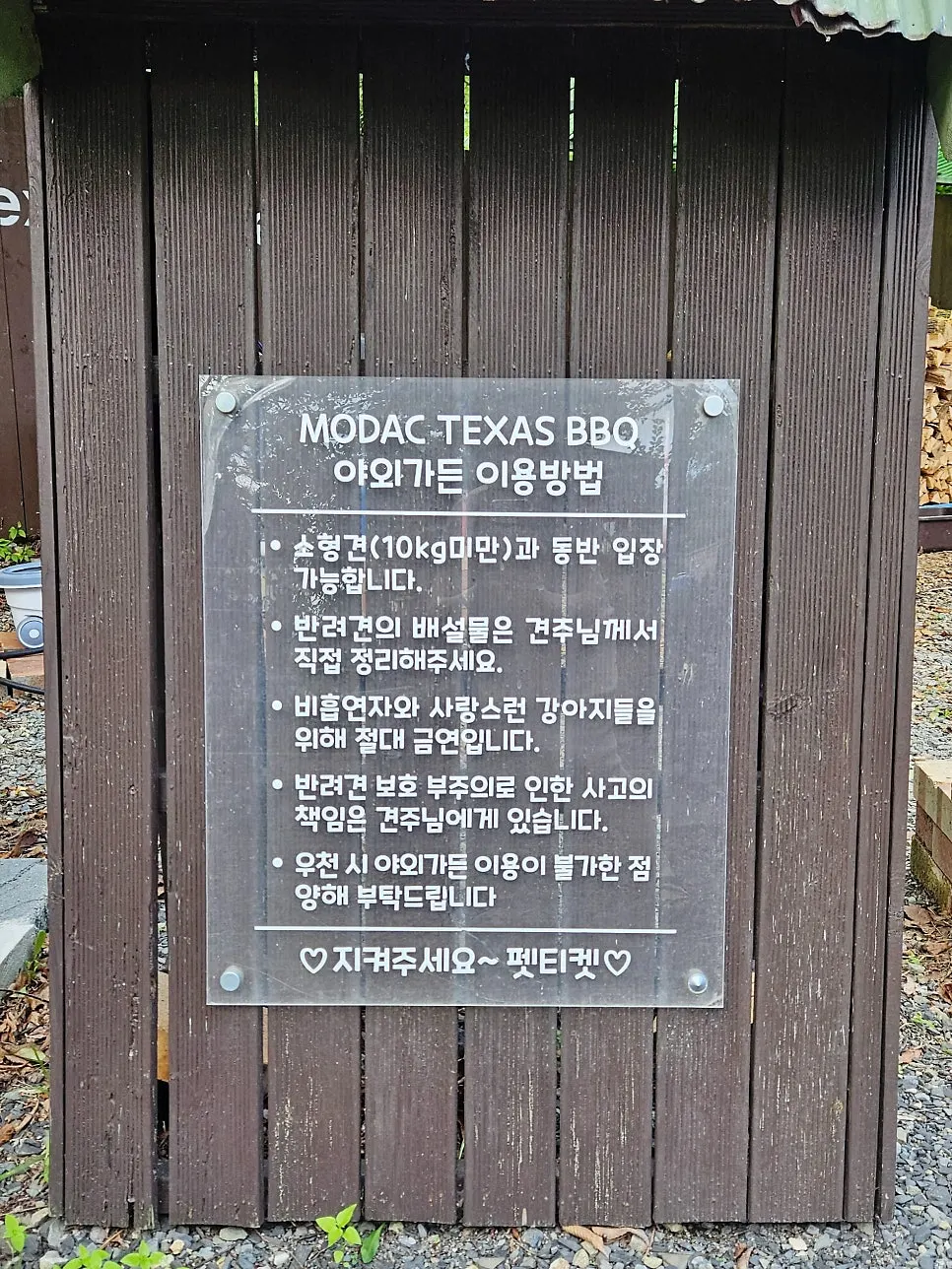 Dog-friendly outdoor garden