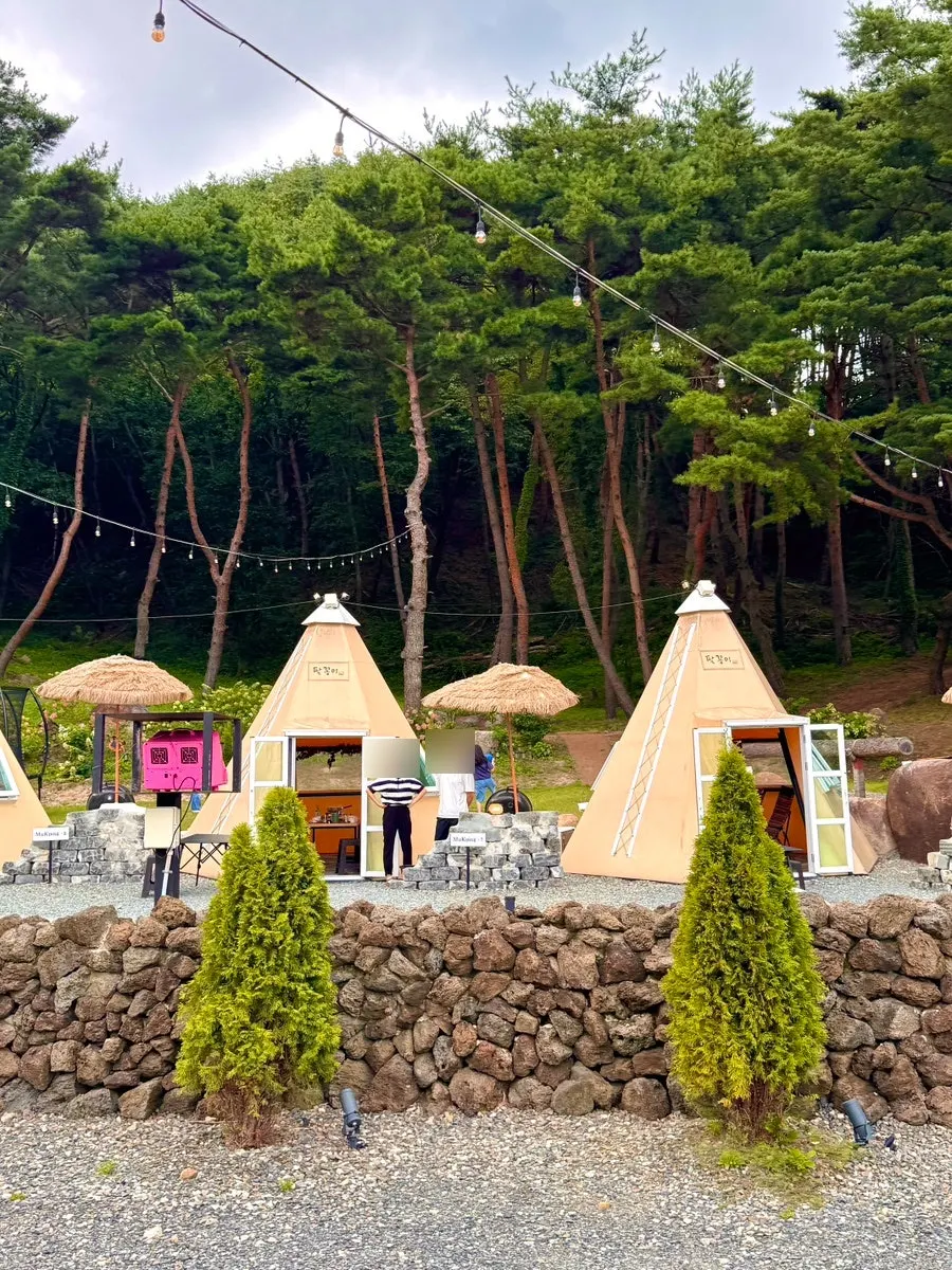 Palkkongi surrounded by nature with the green scenery of Palgongsan