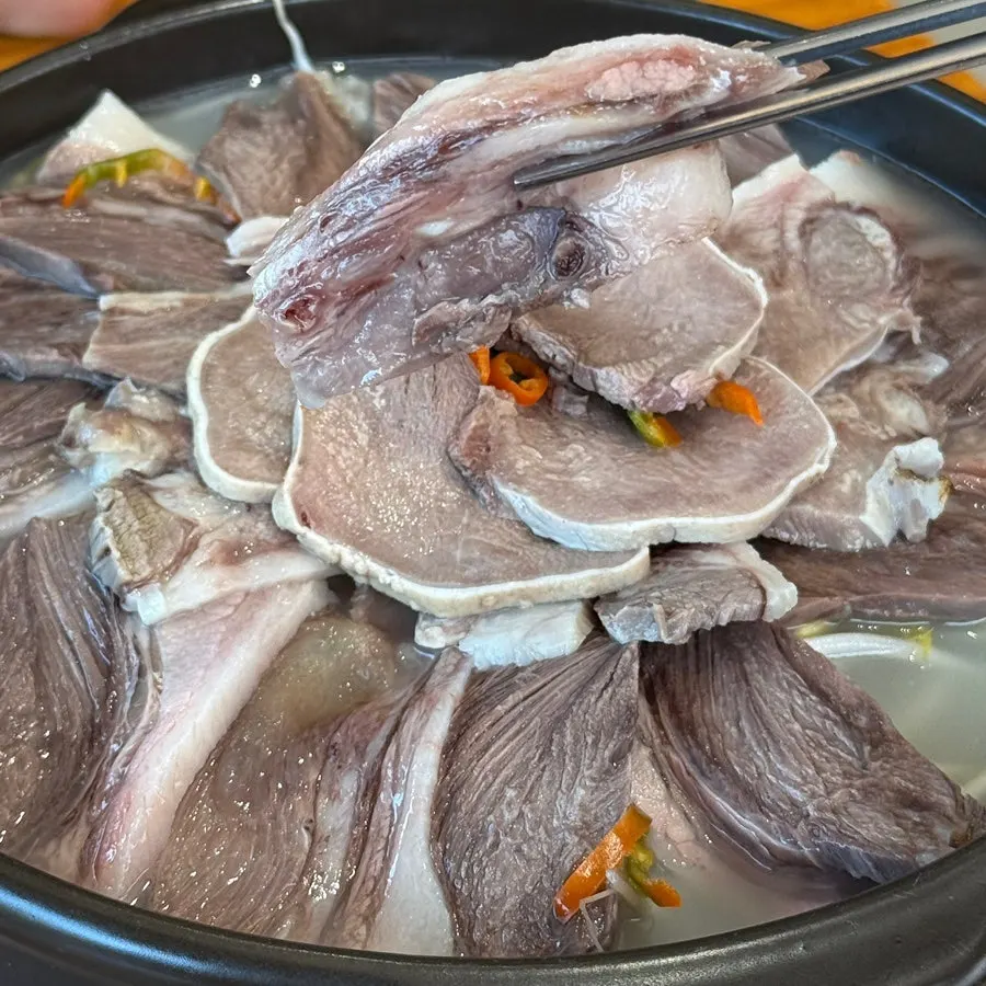 숙주와 육수가 깔린 수육