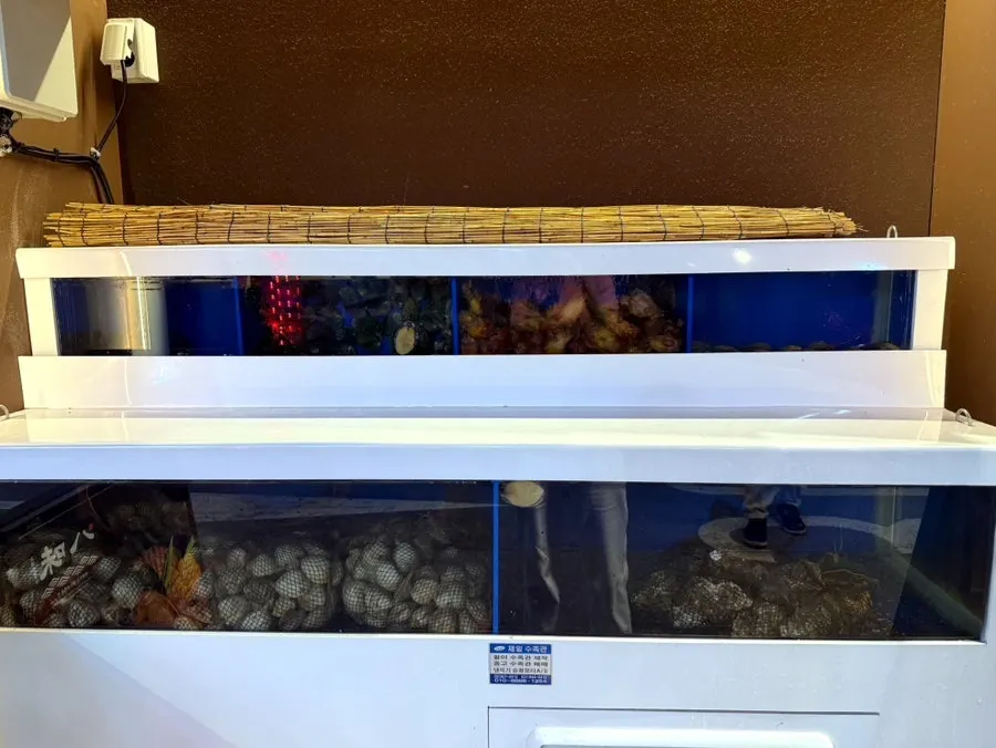 Shellfish tank at the restaurant