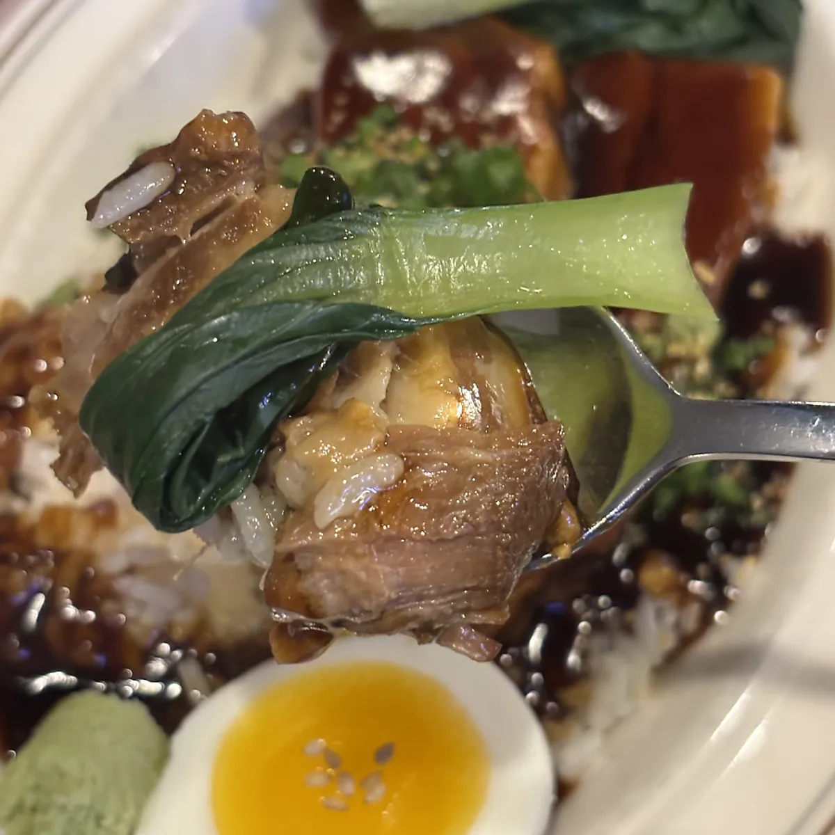A spoonful of braised pork and rice soaked in sauce