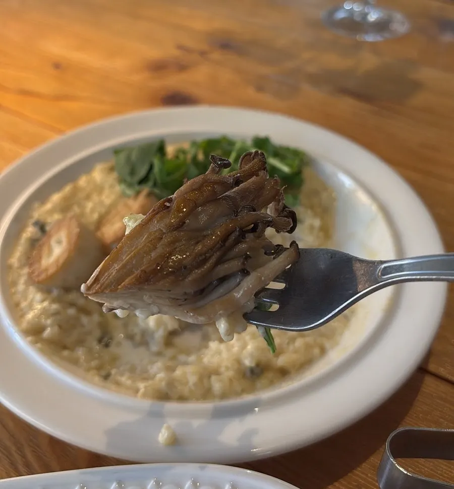 A plate of mushroom cream risotto