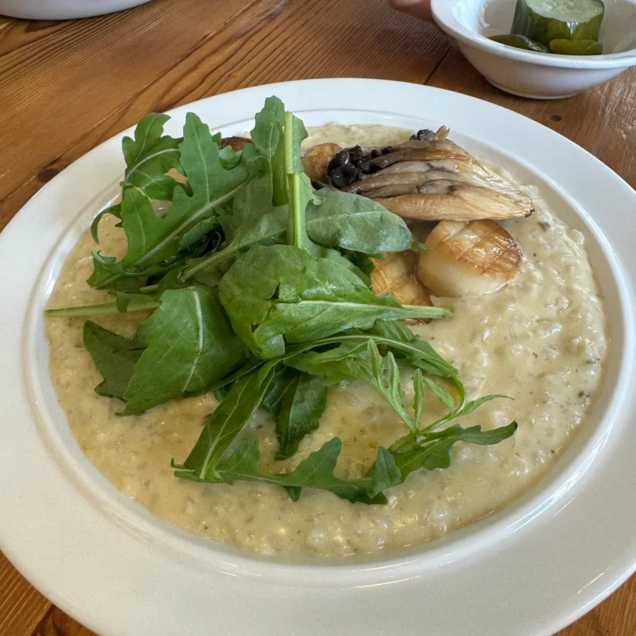 Cream risotto topped with mushrooms and arugula