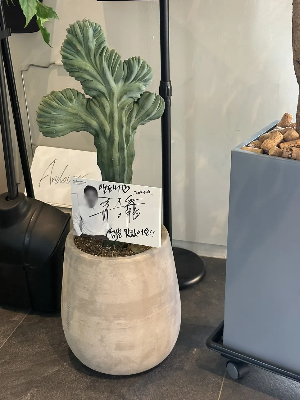 Photos on the wall and bags for sale in the store