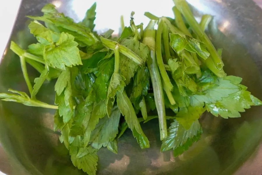 Scallion salad and minari side dishes