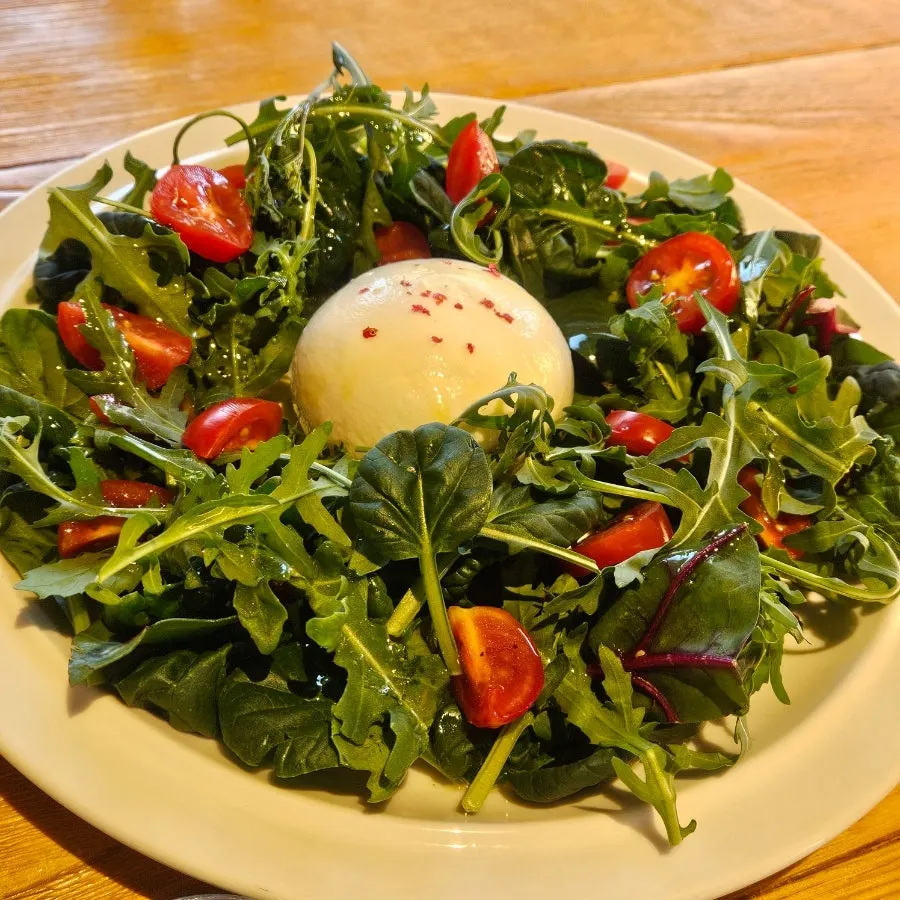 Plate of burrata cheese, arugula, and tomato salad