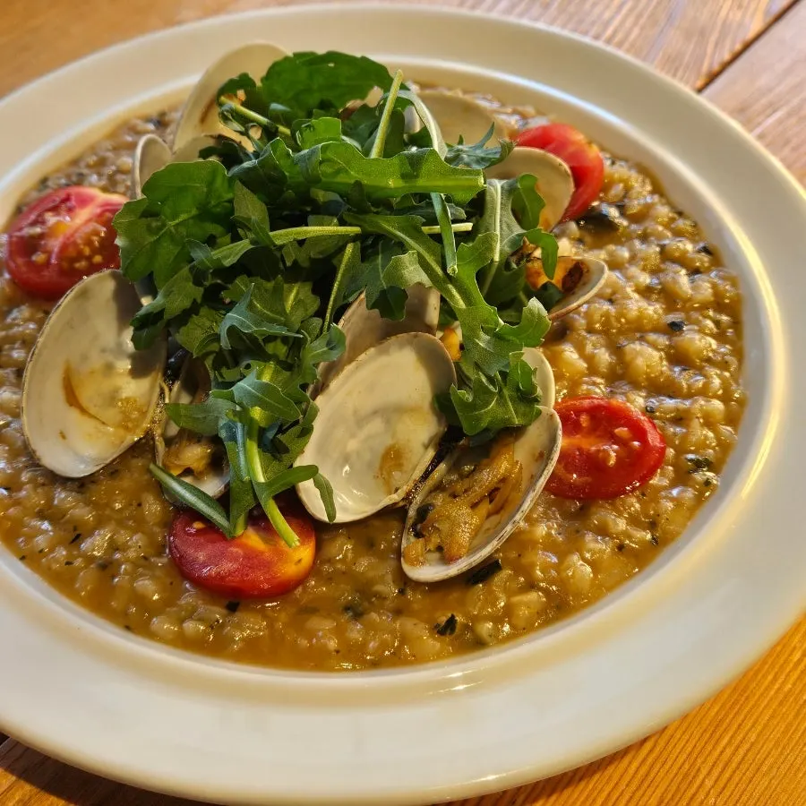 Clam risotto topped with plump clams