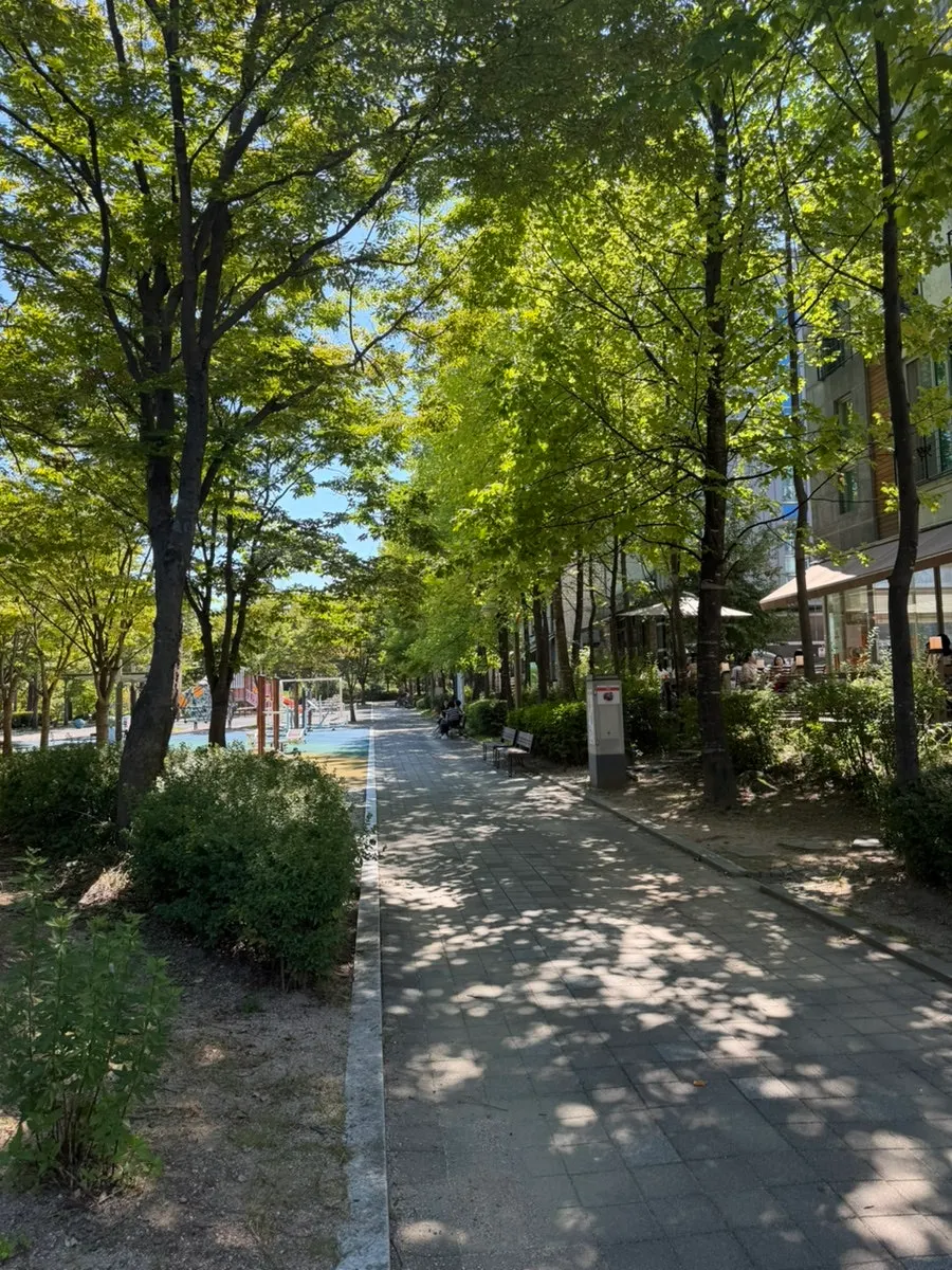햇살이 드는 테라스에서의 브런치 식사 장면