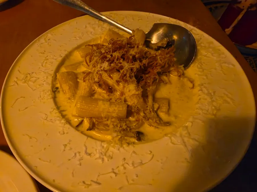 Close-up of white truffle pasta noodles coated in cream sauce