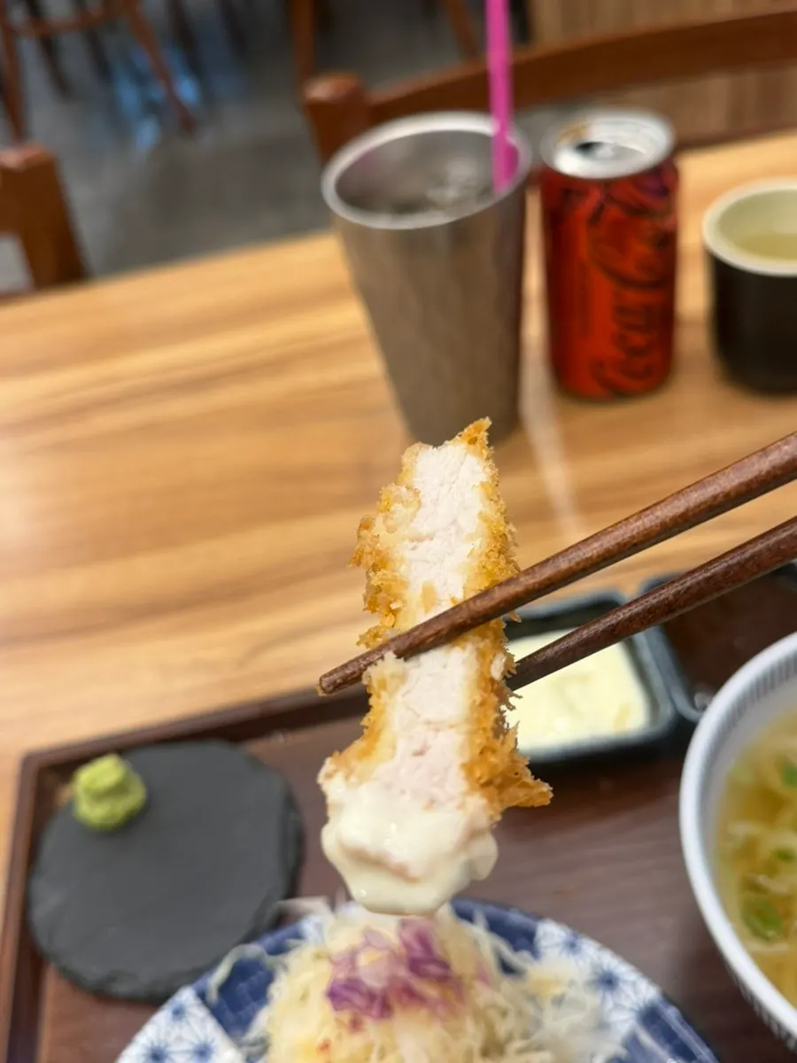 A piece of tonkatsu with sauce
