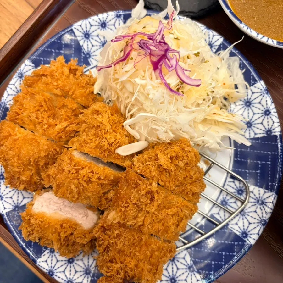 Side-by-side comparison of fillet katsu and loin katsu