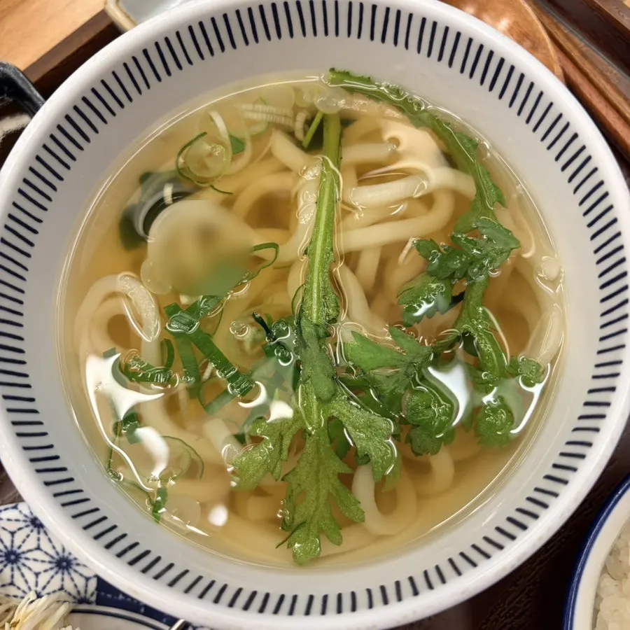 Warm udon served with the fillet katsu set