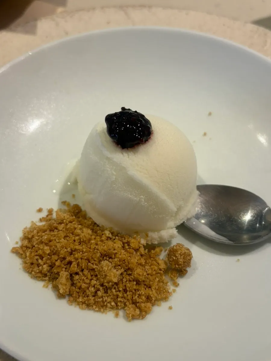 Yogurt sherbet dessert topped with berry jam