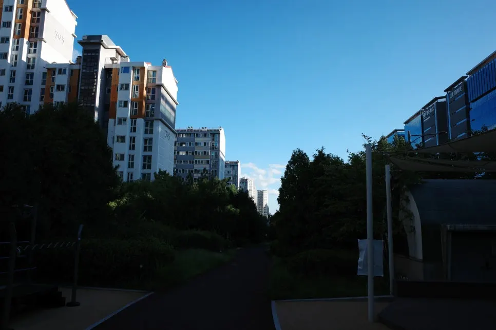Visiting Dwaeji Mansion at Pangyo Avenue France