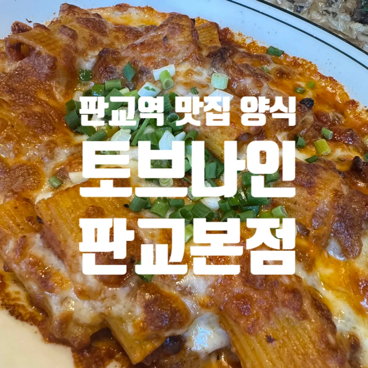 Cheese oven Bolognese