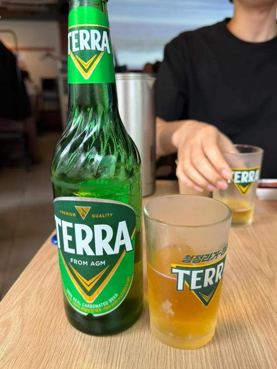 Terra draft beer poured into a frosted glass
