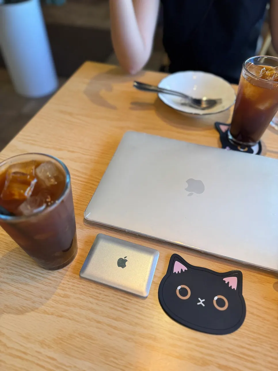 파스티아르 고양이 코스터 클로즈업