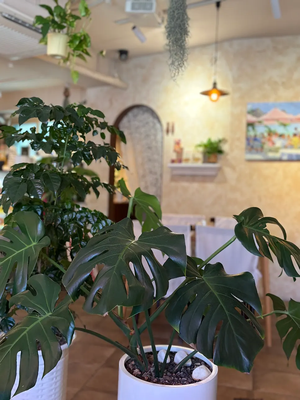 Interior of Pastiar's second floor