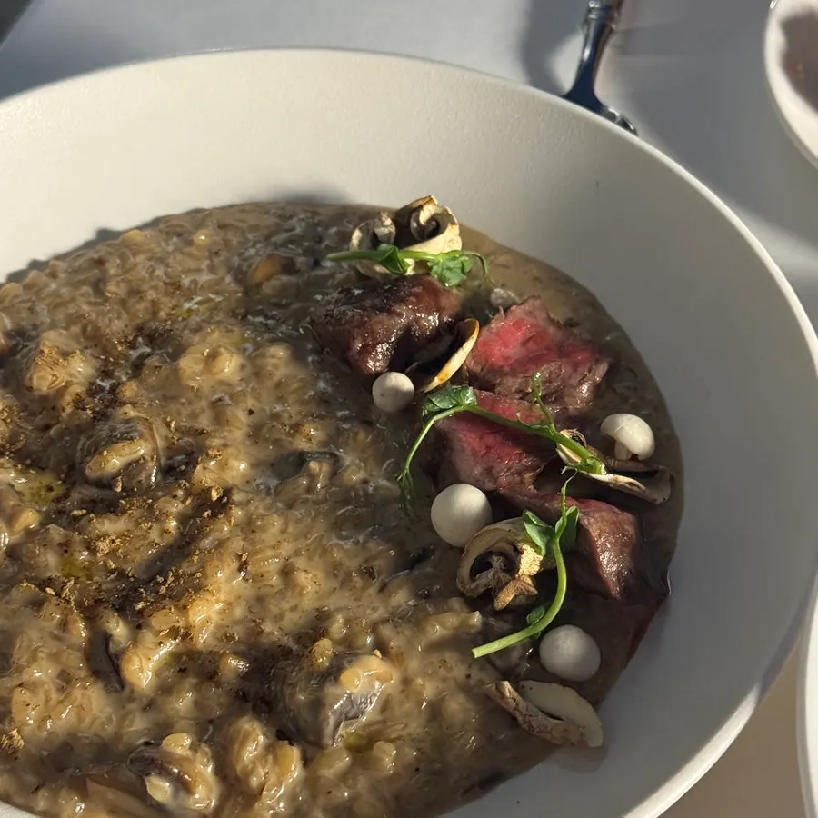Bistec encima del risotto