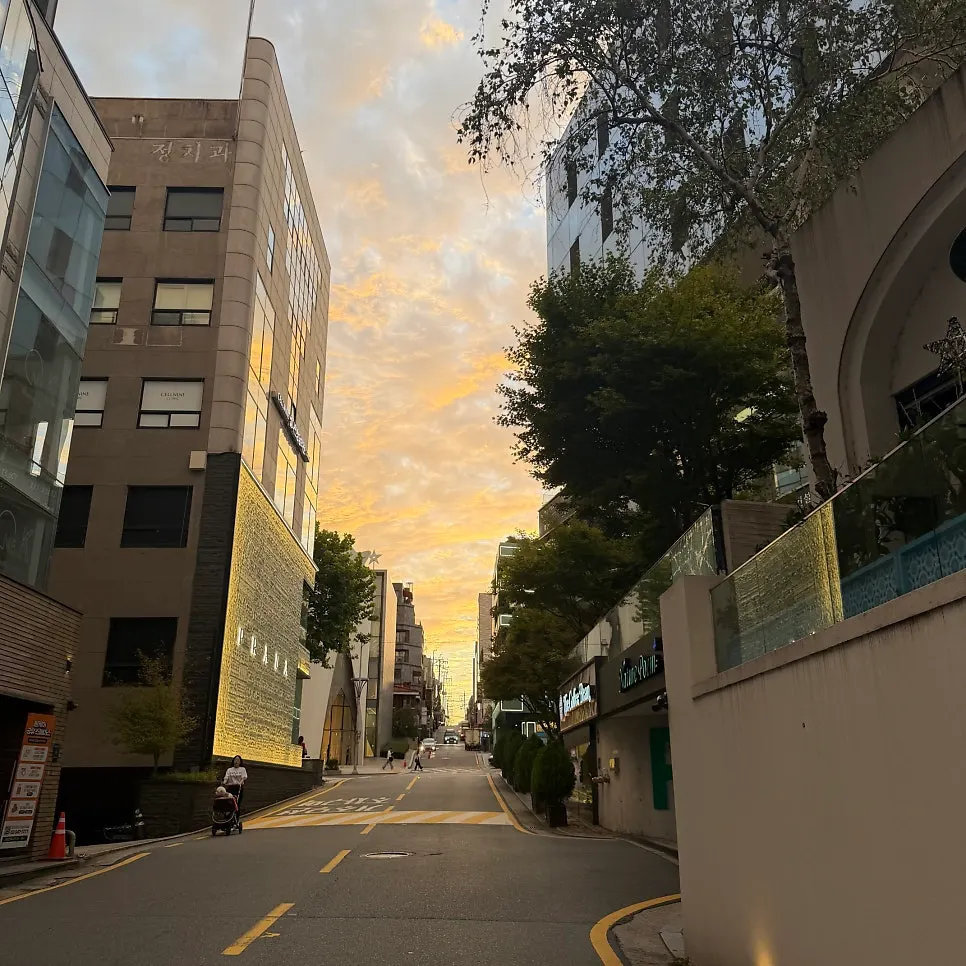 페피트 위치와 매장 정보