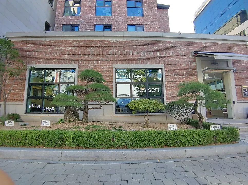 Fruit soufflé at Petrico, a café near Hapjeong Station