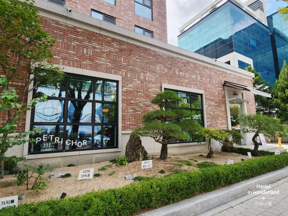 Full view of the Petrico building on Jandari-ro