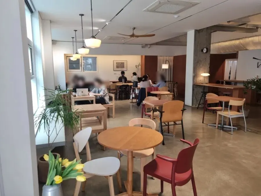 페트리코 아늑한 카페 내부