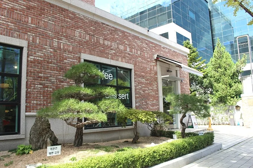 합정역 카페 페트리코 외관